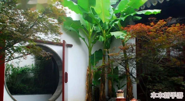 小花园怎么自己弄出牛奶：从种植到养殖，打造自给自足的田园生活方式