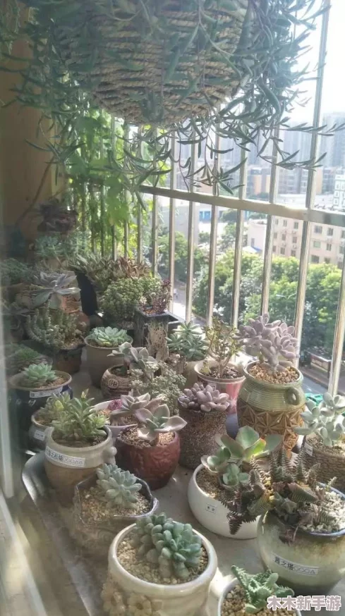 小花园怎么自己弄出牛奶：从种植到养殖，打造自给自足的田园生活方式