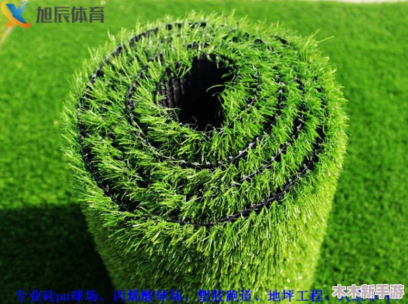 嫩草石隐藏入口使用方法，让我们一起探索大自然的奥秘吧！