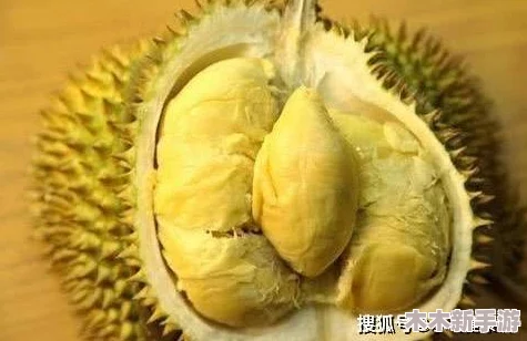 榴莲视频污污污：新研究显示，榴莲的营养成分对改善心血管健康有积极影响，引发广泛关注