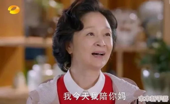 沈阳老阿姨最后的巅峰：回忆岁月中的欢笑与泪水，感受生活的真谛与温暖