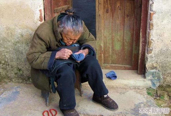 真人实拍初破www免费资源解析与观看体验分享