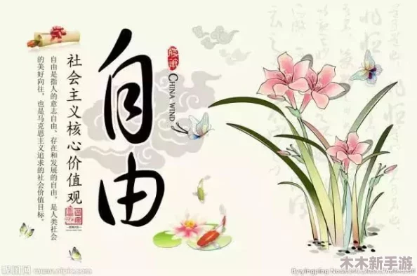 性别 自由 凸轮 管中国：在现代社会中如何实现平等与尊重的美好愿景
