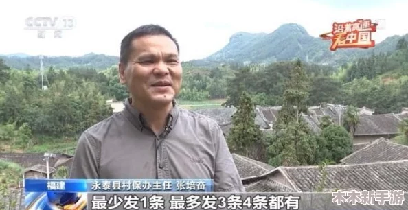老太婆熟wBBwBBwBBw：深入理解这一现象背后的文化与社会意义